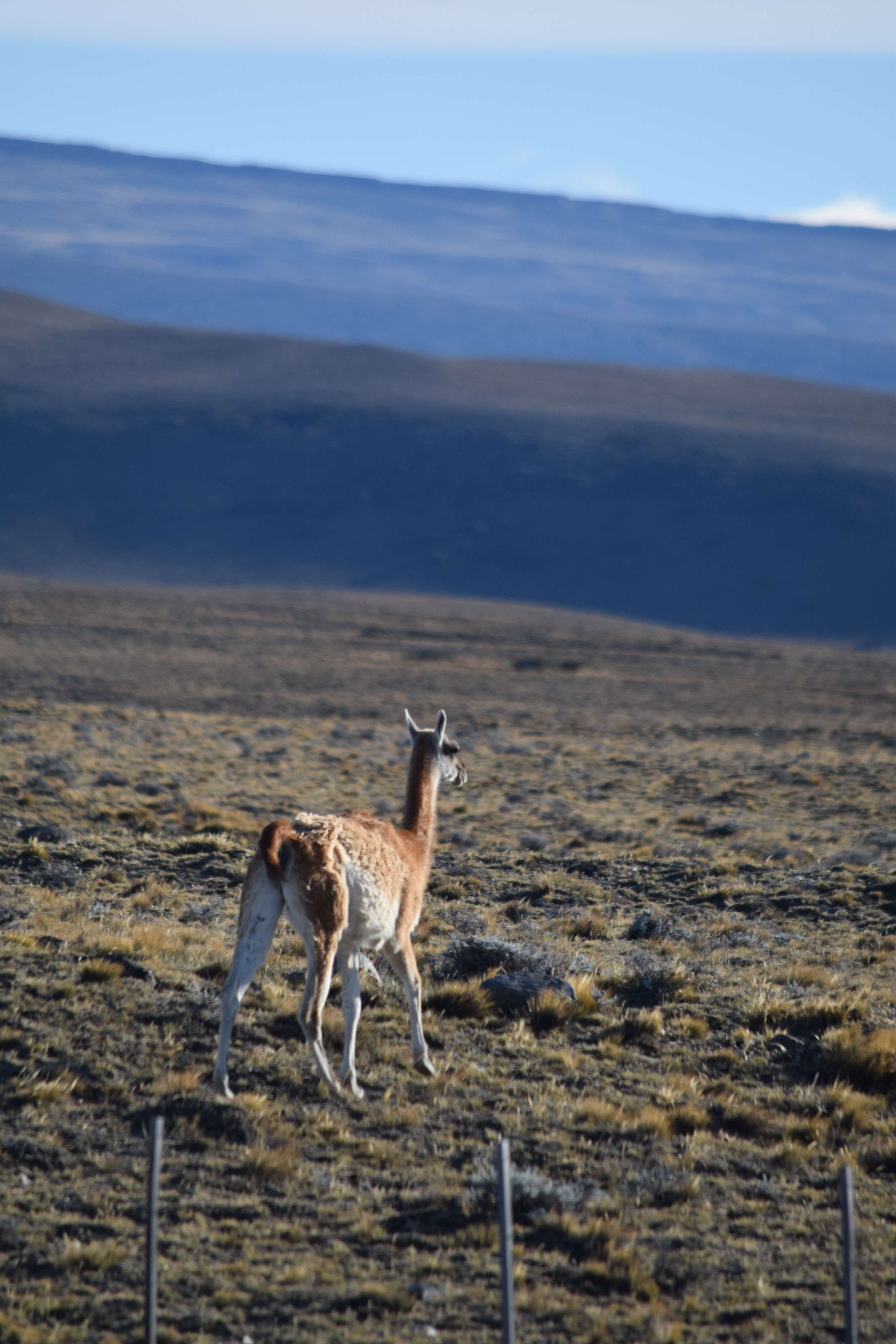 Photo 42